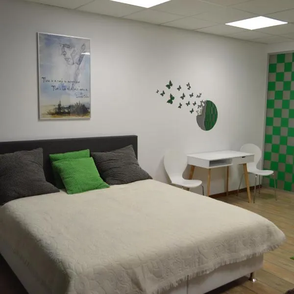 Vasarely Luxury Flat, hotel in Satu Mare