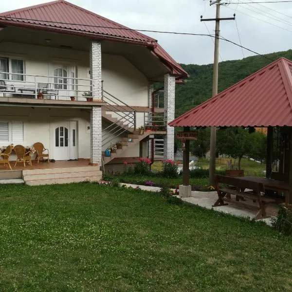 Apartment Mitric, hotel din Plužine