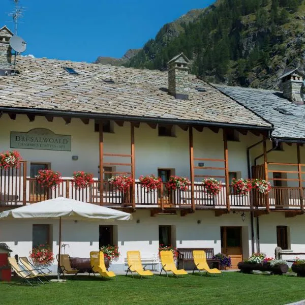 Drésalwoald, hotel a Gressoney-Saint-Jean