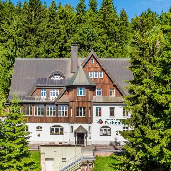 Pension und Gaststätte Naturbaude Eschenhof, hotel v destinaci Kurort Oberwiesenthal
