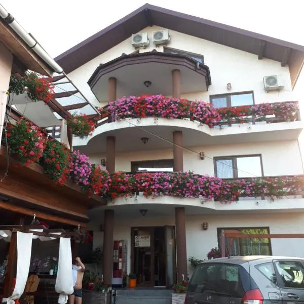 Pensiunea Daiana, hotel in Mamaia Nord