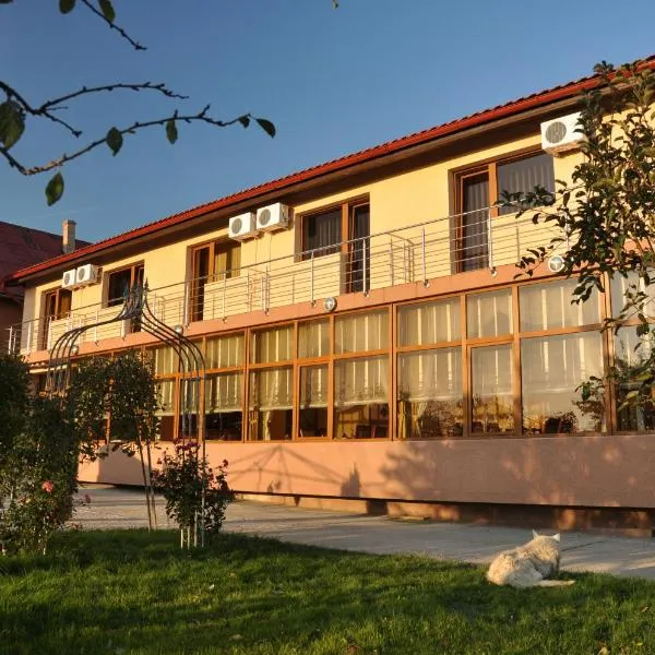 Pension Andronic、Sânmihaiu Românのホテル