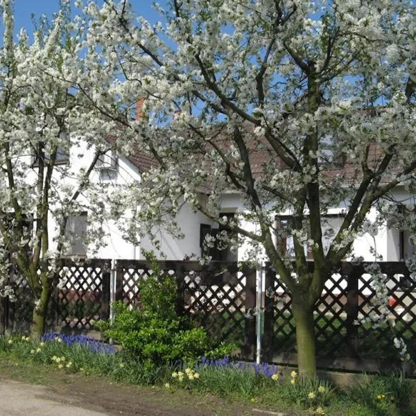 Nagy Vendégházak, hotel in Kőtelek