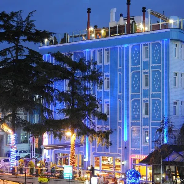 Blue House Hotel Old City - Sultanahmet，伊斯坦堡的飯店