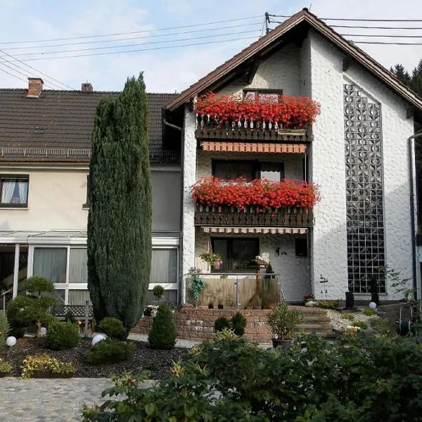 Ferienwohnungen Haus Waltraud, hotel in Steinwiesen