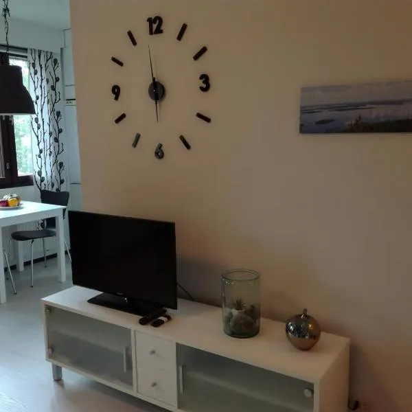 A lovely one-room apartment near the city centre. โรงแรมในวาซา