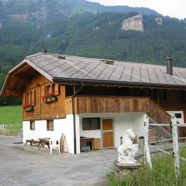 Eichhof Brienzwiler Berner Oberland, hotel v destinaci Brienzwiler