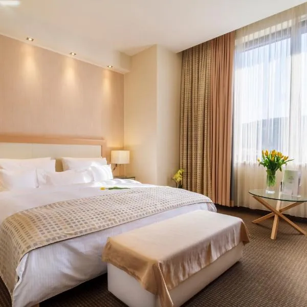 Hotel Rogge, hotel v destinaci Reşiţa