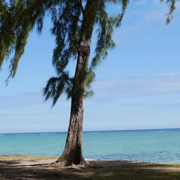 Sonnige Ferienwohnung mit Wifi，位于弗利康弗拉克的酒店