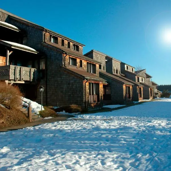 Hapimag Ferienwohnungen Unterkirnach, hotel in Unterkirnach