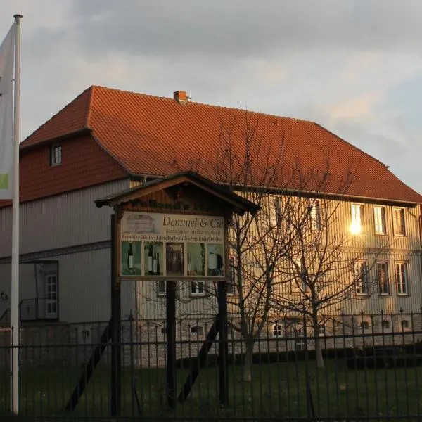 Hotel Garni Demmel & Cie, hotel v destinaci Rohrsheim