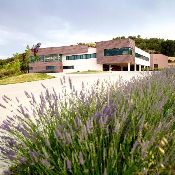 Hotel Bodegas Traslascuestas, hotel em Roa