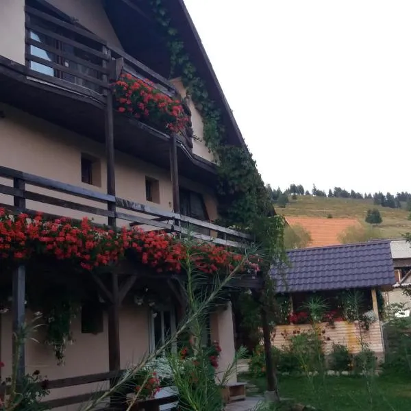 Cabana Ada 2, hotel a Vârtop