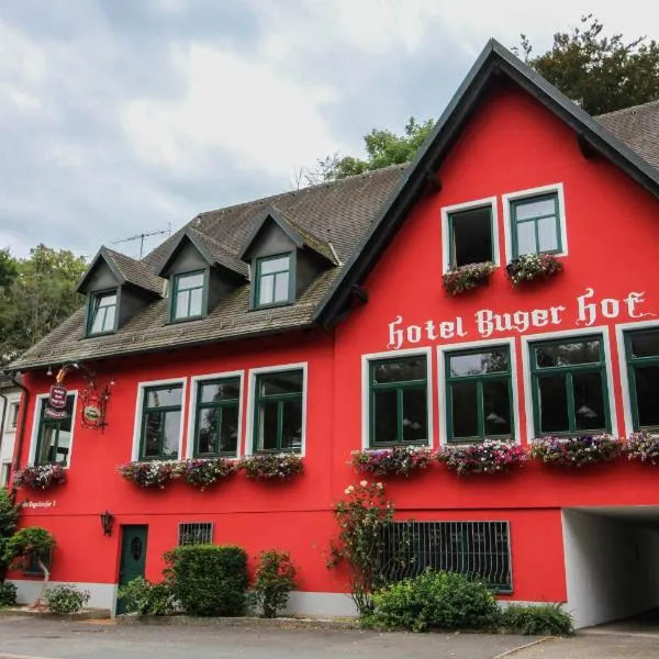 Friesen에 위치한 호텔 호텔-레스토랑 부거 호프(Hotel-Restaurant Buger Hof)