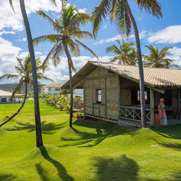 Tree Bies Resort - Oficial - Foto 4