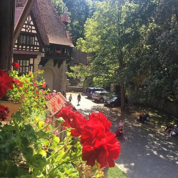 Complex La Tunuri - Vila Economat, Hotel in Sinaia