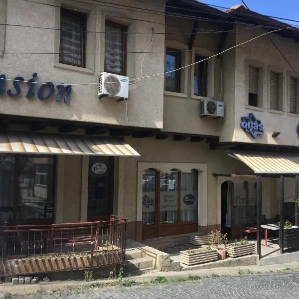 Bujtina (Pension) Oltas, hotel v destinaci Prizren