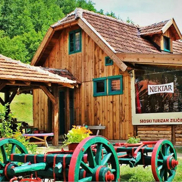 Seoski turizam Ziličina Rogatica, hôtel à Osječani