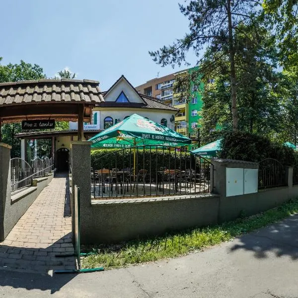 Penzion & Řízkárna, hotel v Frýdku Místku