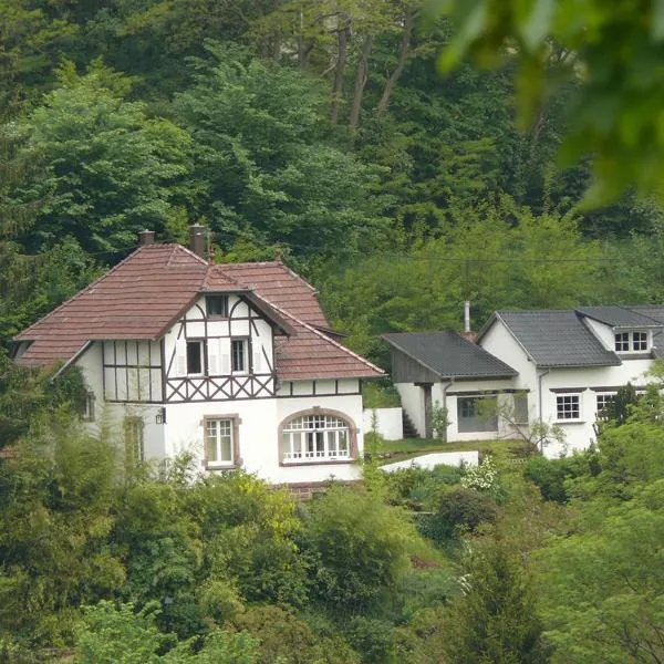 La Dependance de la Villa des Oiseaux - La Petite Pierre, hotell i Petersbach