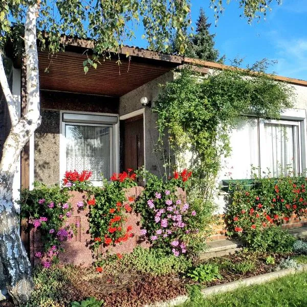 Bungalow Krzyzaniak, Hotel in Lohsa