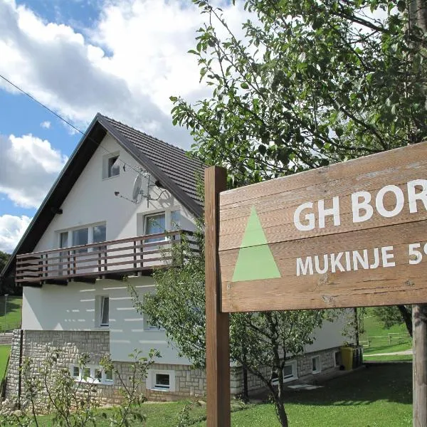 Guesthouse Bor Plitvice Lakes, готель у місті Плитвицька Єзера