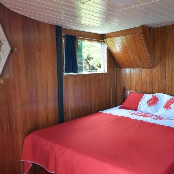 Selvagem Tours - Foto 2