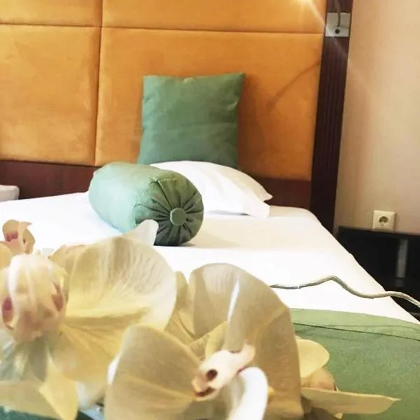 실리스트라에 위치한 호텔 Пансион Роди