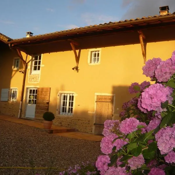 Bed & Breakfast - Maison de Marie, hotel a Messimy