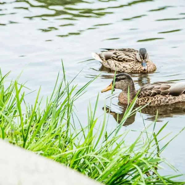 Appartements Am Kranichsee, viešbutis mieste Hanenklė-Bokvyzė