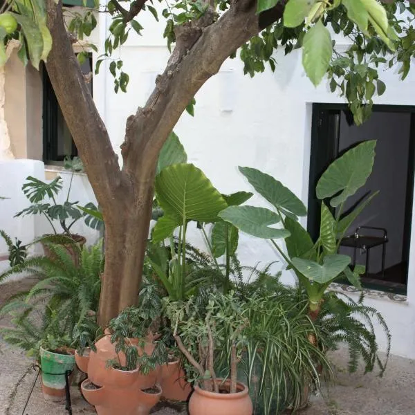 Las Jimenas, hotell i El Castillo de las Guardas