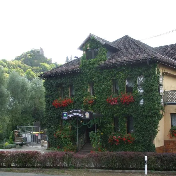 Landgasthof Wiesenmühle, hotel v destinaci Burg Hohenstein