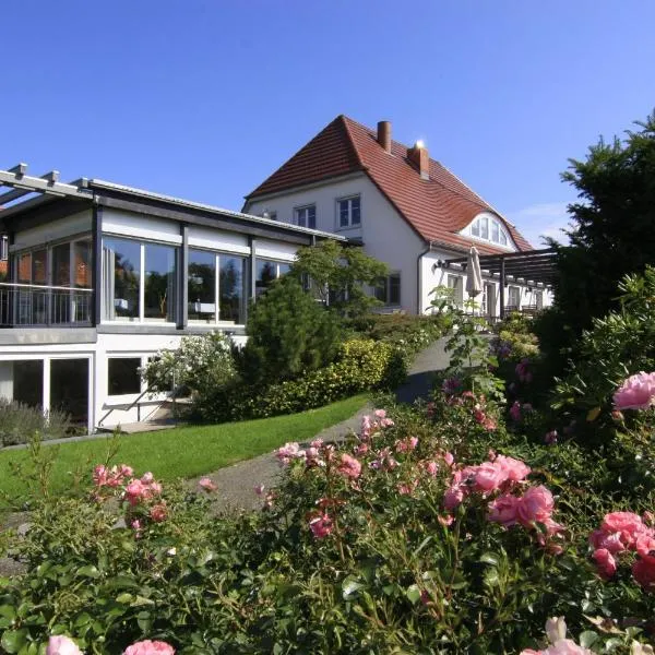 H.W.S. Hotel Der Wilde Schwan, hotel in Neddesitz