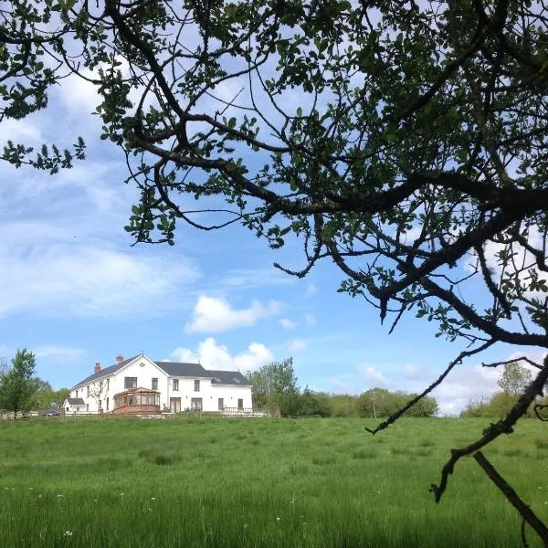 Penddaulwyn Uchaf Farm # Carmarthenshire, hotel in Llanfynydd