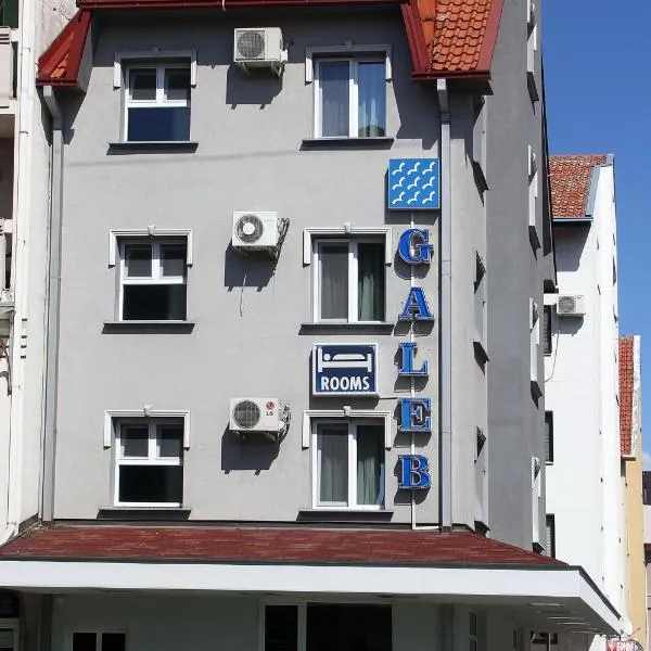 Villa Galeb, hotel v destinaci Šabac
