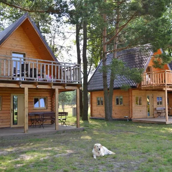 Camping Szczecinek Domy Wypoczynkowe, hotel in Szczecinek