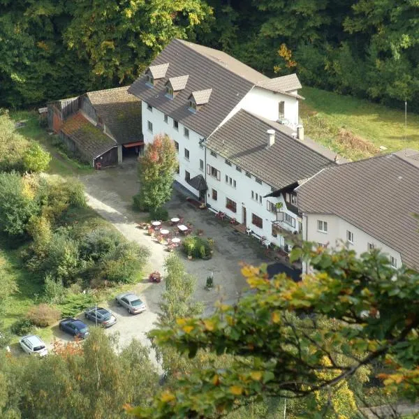 Chambres d'hôtes - sauna & bien-être Logis Domaine Langmatt, hotel en Murbach