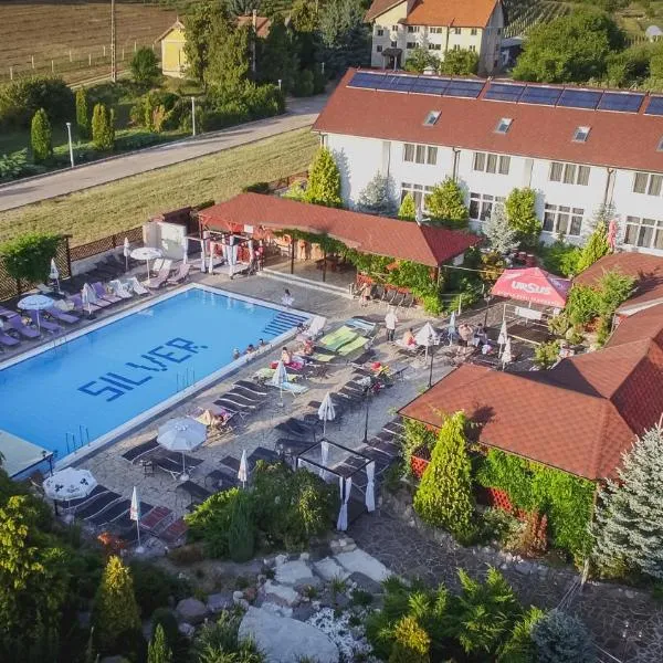 Silver Hotel, hotel v destinaci Oradea