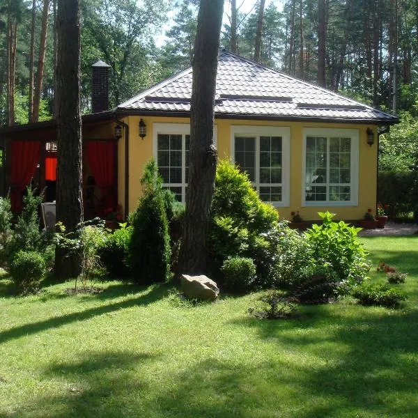 Domik v lesy, hotel in Yasnogorodka