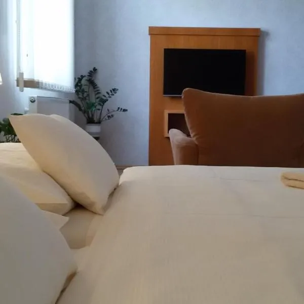 Pension U Labe, hotel v destinaci Hradec Králové