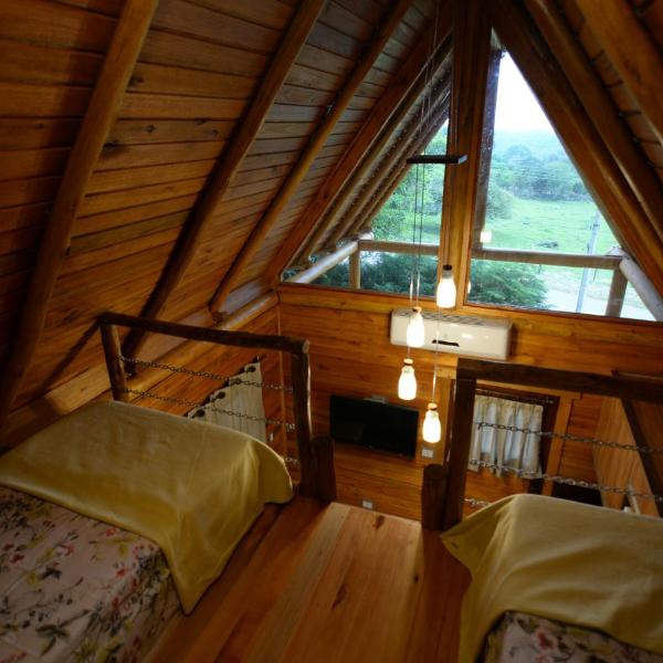 Casa na Árvore - Foto 2