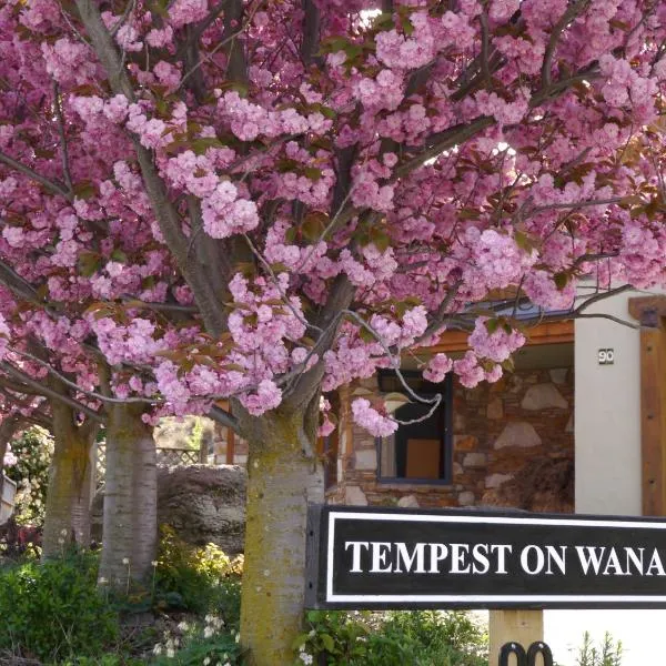 Tempest on Wanaka, hotel v destinaci Wanaka