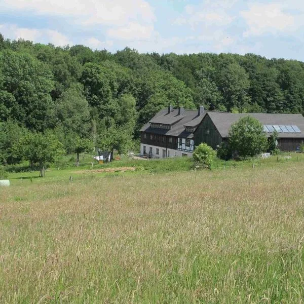 Ferienhaus Sohrmühle, khách sạn ở Niederbobritzsch