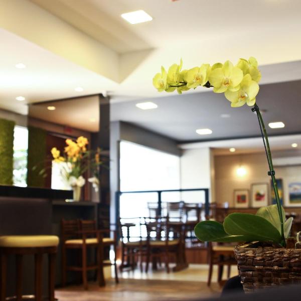 Blue Hill Hotel - Foto 5