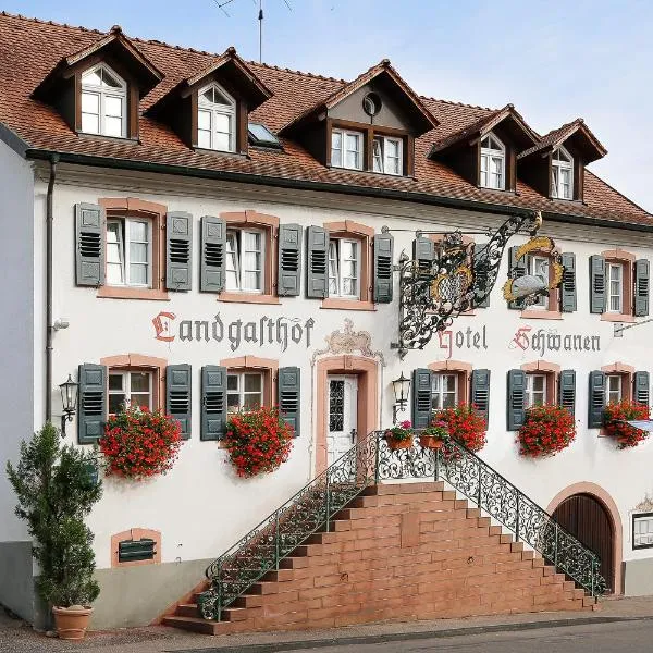 Flair Hotel Schwanen, hotel v destinaci Bad Bellingen