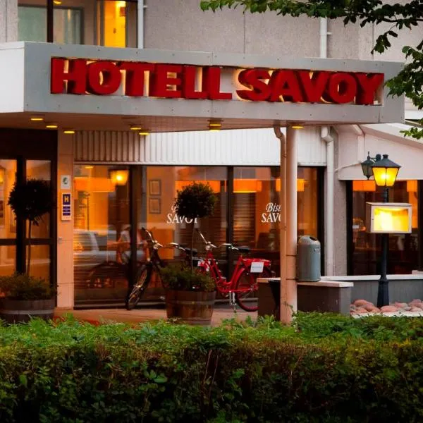 Hotel Savoy, hotel in Gottby