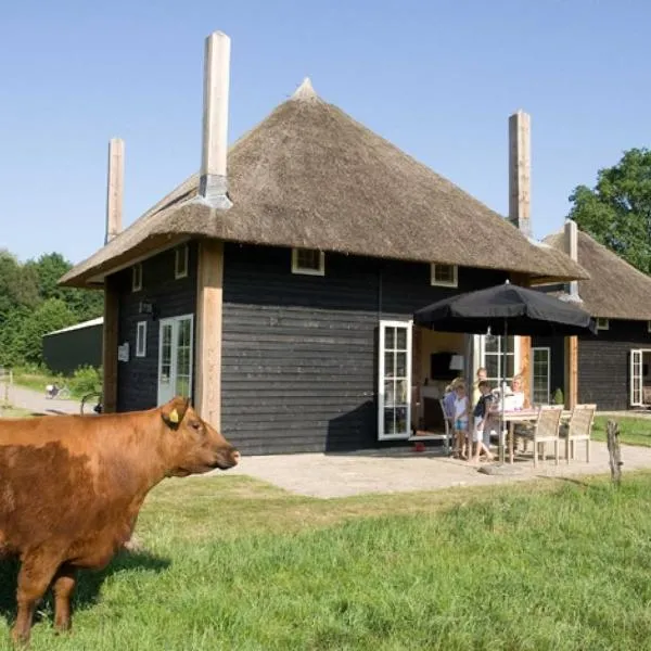 Erve Woolderink, hotel in Wierden