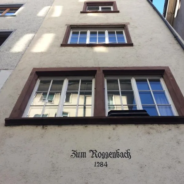 In Swiss Home - Rathaus from 1284 historical Apartment, Hotel in Basel