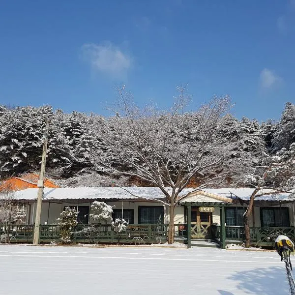 Bluesky Pension, hotel di Pocheon