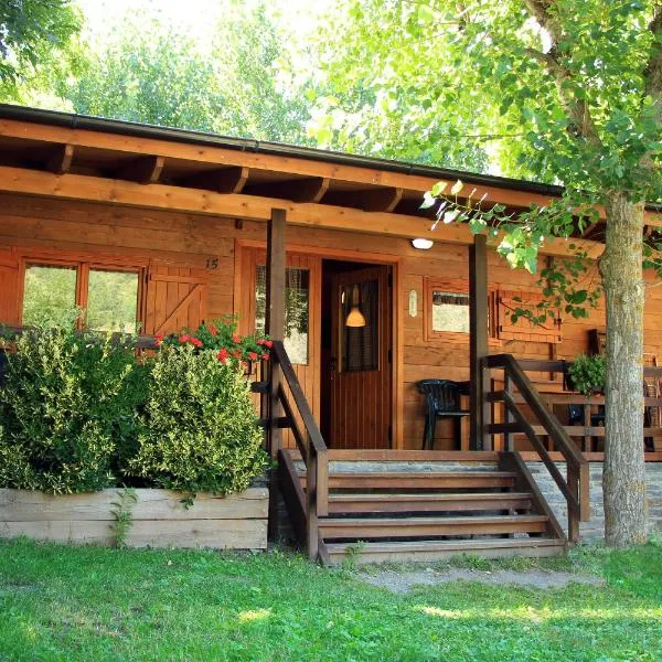 Bungalows Nou Camping, hotel in Guingueta